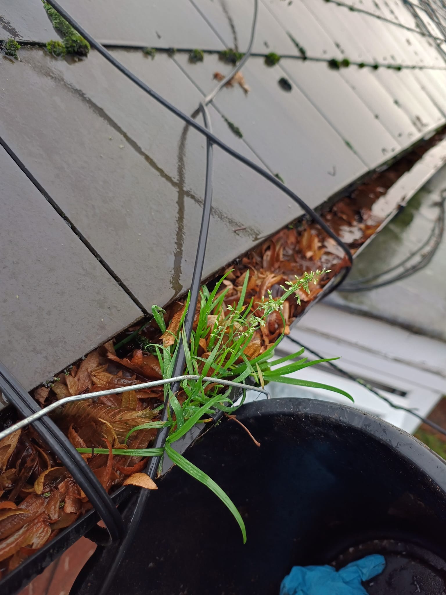 Drain Unblocking
